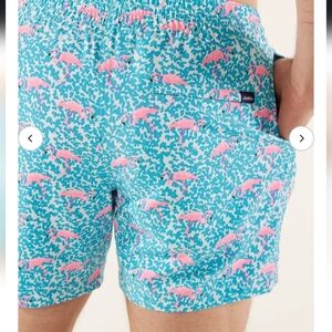 NWT Chubbies The Domingos Are For flamingo swim trunks size XXL